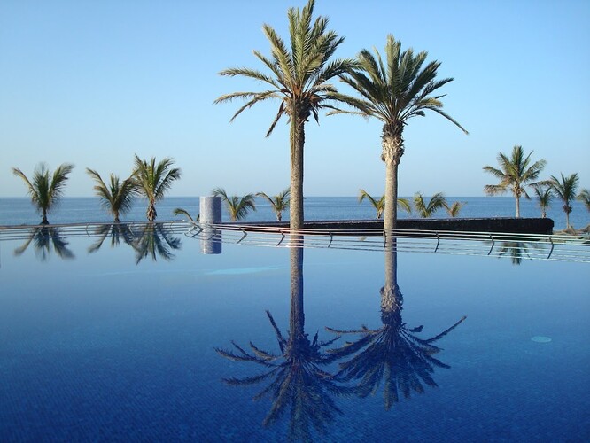 VIK San Antonio photo 4