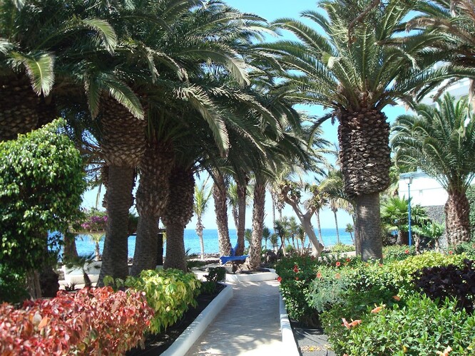 VIK San Antonio photo 18