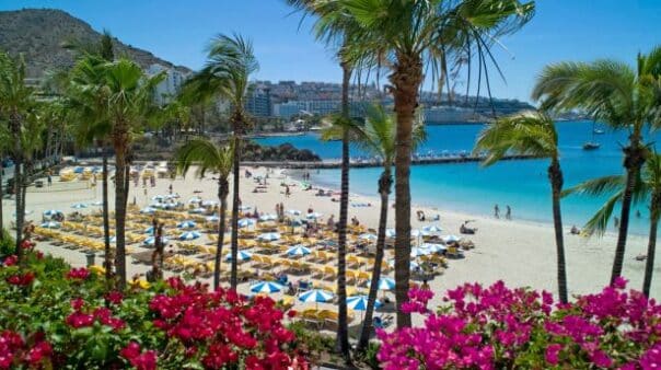 Your Ultimate Gran Canaria Travel Itinerary 