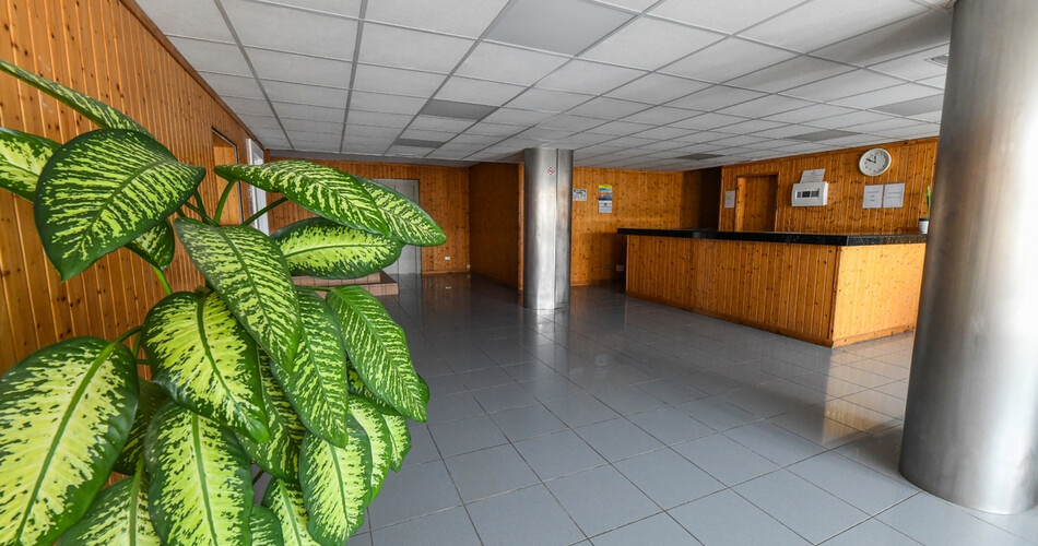 LIVVO Puerto Bello photo 4