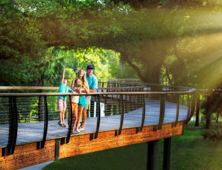 Top Attractions in Central Florida You Can’t Miss!